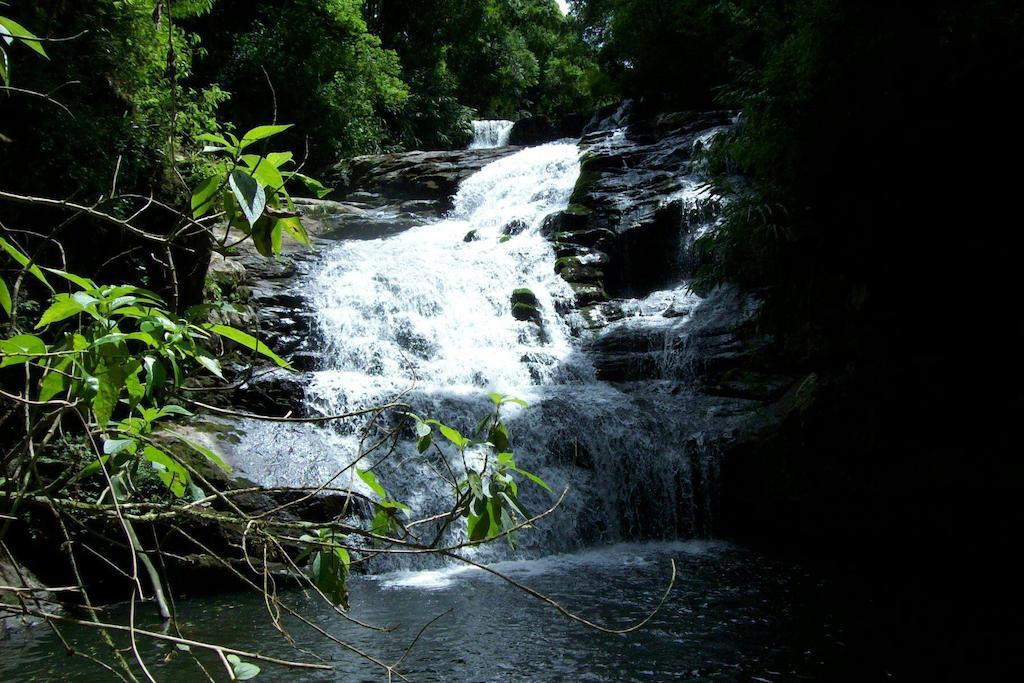 Hotel Terra Do Sempre - Reserva Ambiental São Francisco de Paula Exteriér fotografie