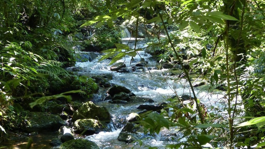 Hotel Terra Do Sempre - Reserva Ambiental São Francisco de Paula Exteriér fotografie